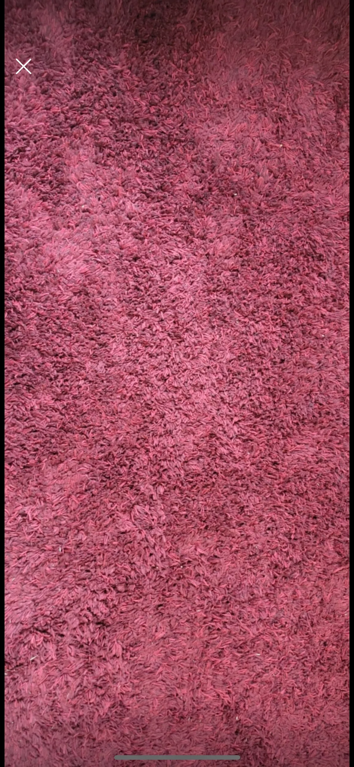 Burgundy Shag Carpet thumbnail