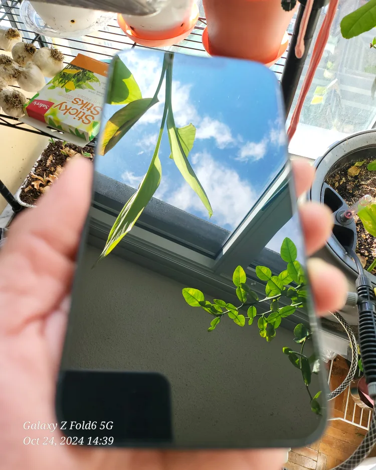 iPhone 13 image indicator(4)