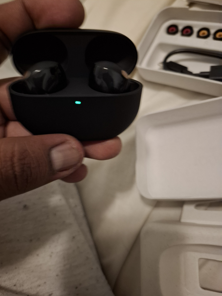 Sony WF-1000XM4 Wireless Earbuds - photo 4