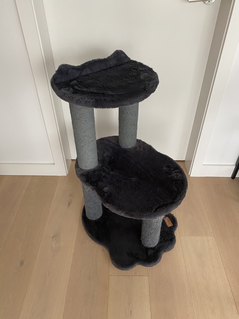 Cat Tree Condo - photo 4