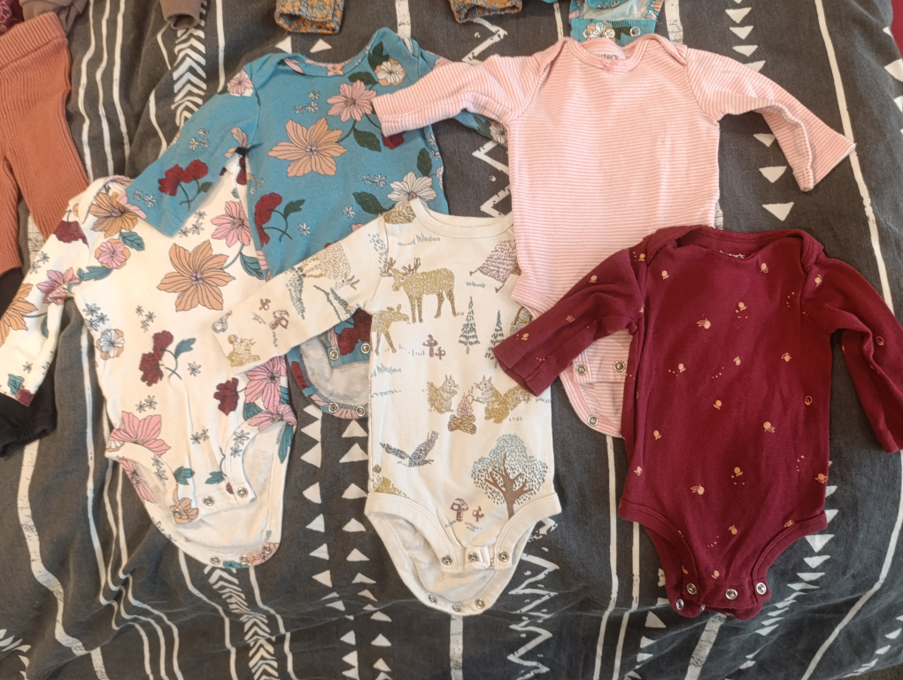 Baby Girl Clothing Bundle (Size 0-3 Months) - photo 3
