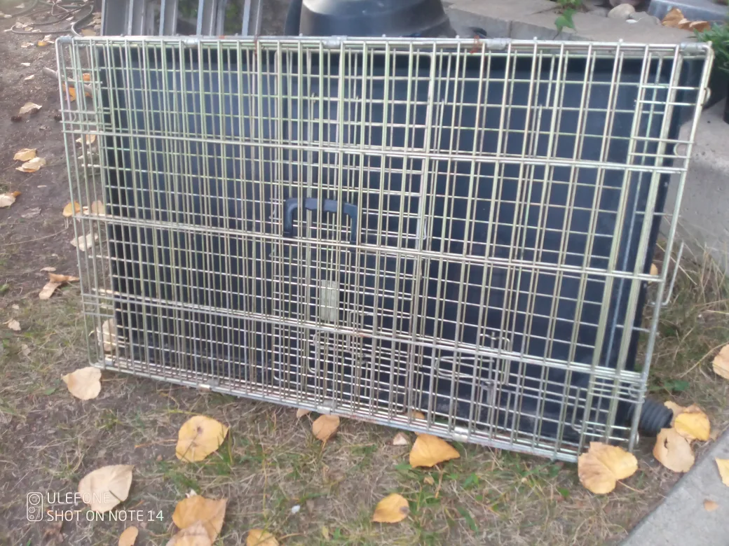 Dog Crate