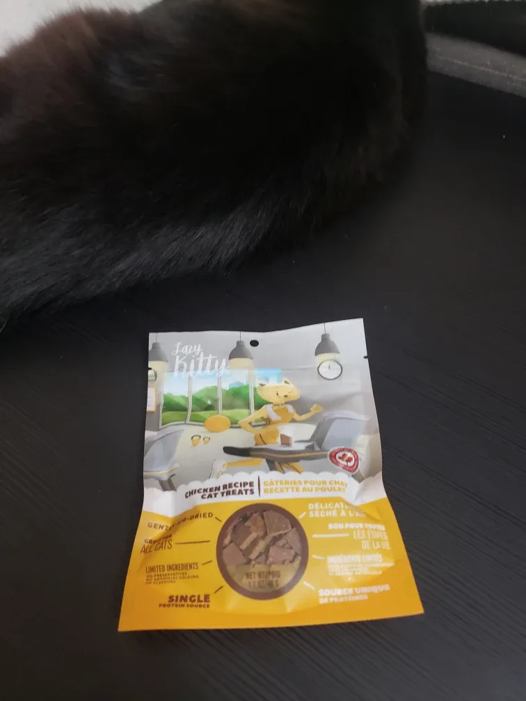 Lazy Kitty cat treats #freecycle thumbnail