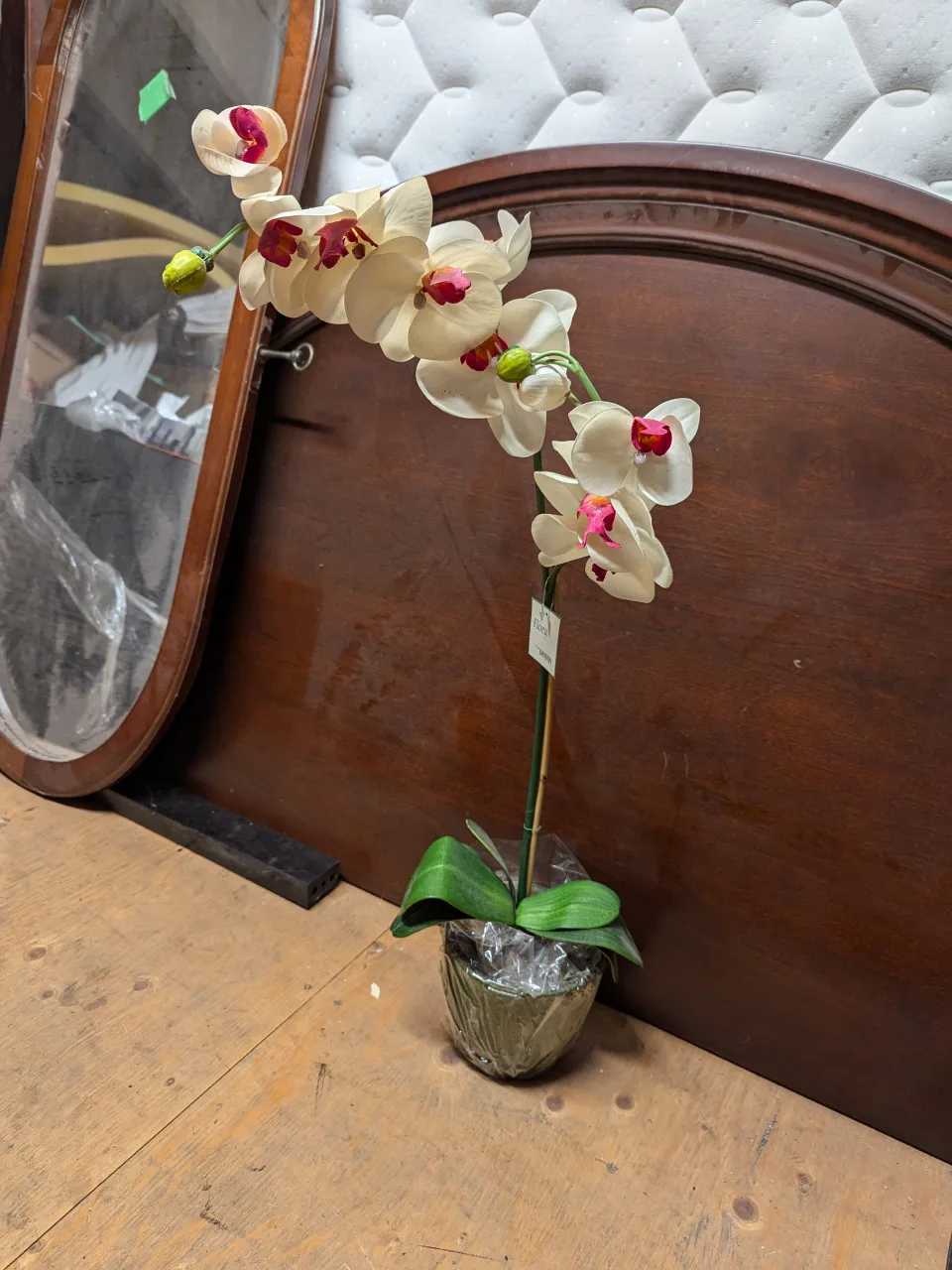 Artificial Orchid Plant image indicator(2)