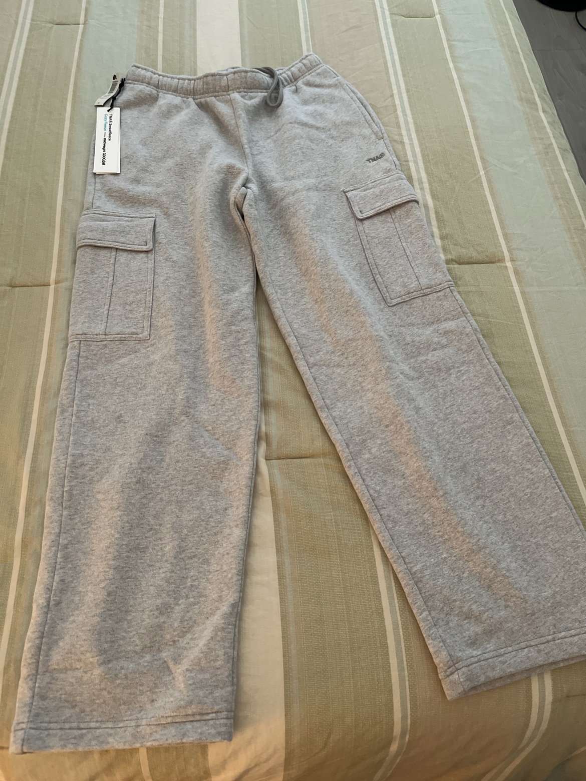 Aritzia Cozy Mega Cargo