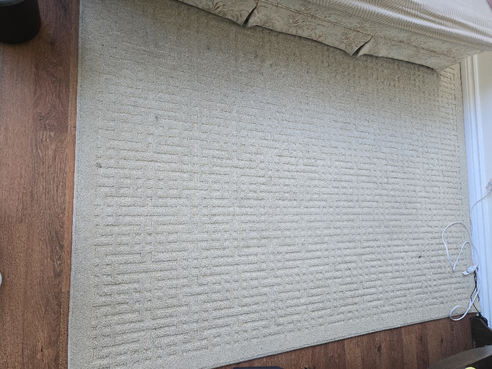 Large beige Rug