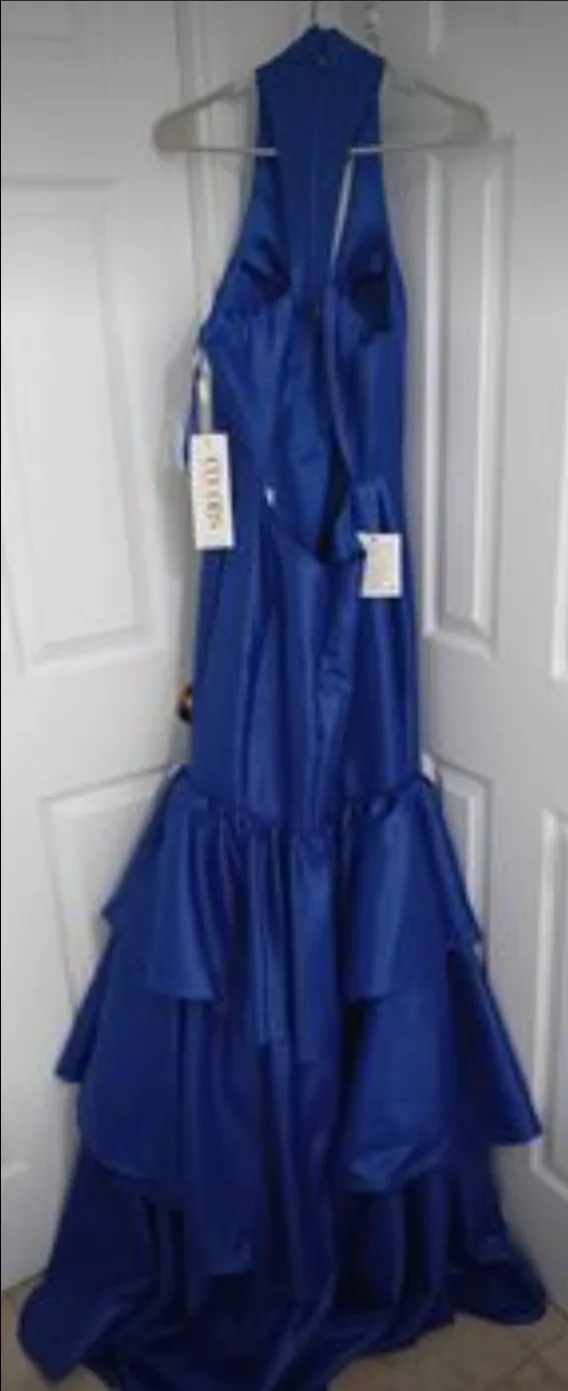 Blue Prom Dress image indicator(2)