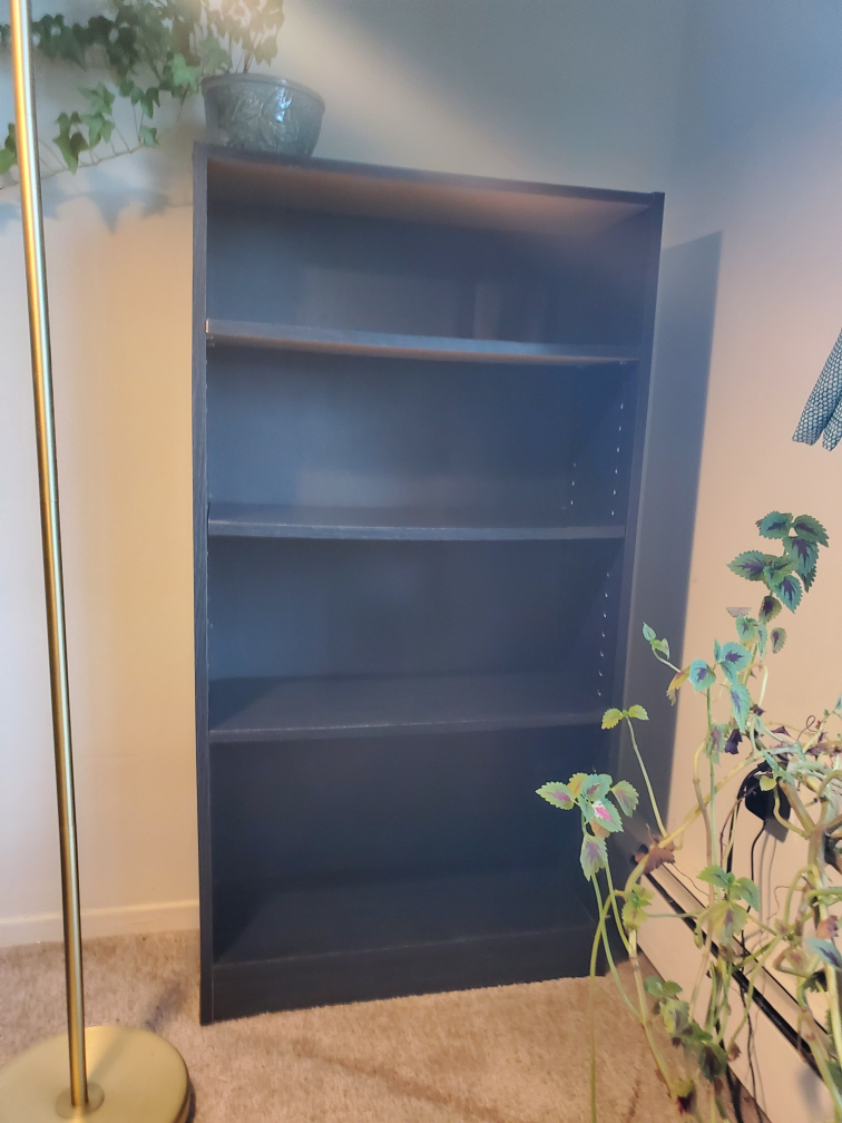 Black Bookshelf