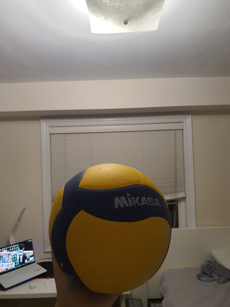 Mikasa Volleyball