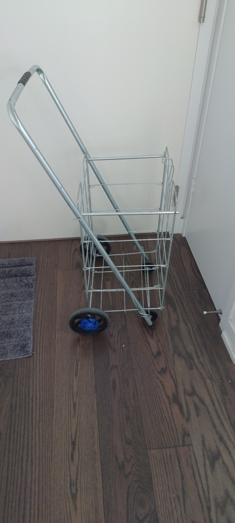Folding Shopping Cart