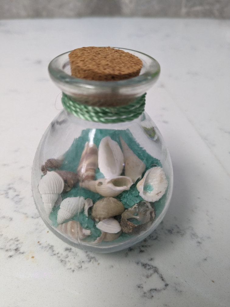 Shell and sand decorative jar #freecycle - photo 2