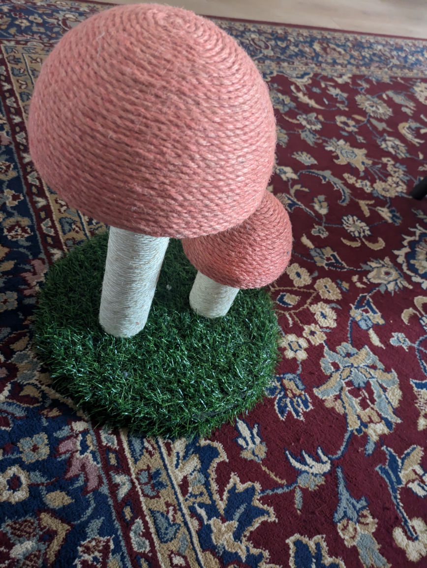 Cat Scratching Post Mushroom