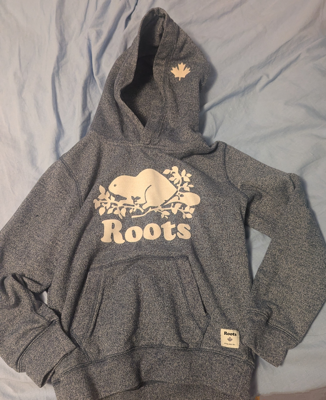 Roots Kids Hoodie