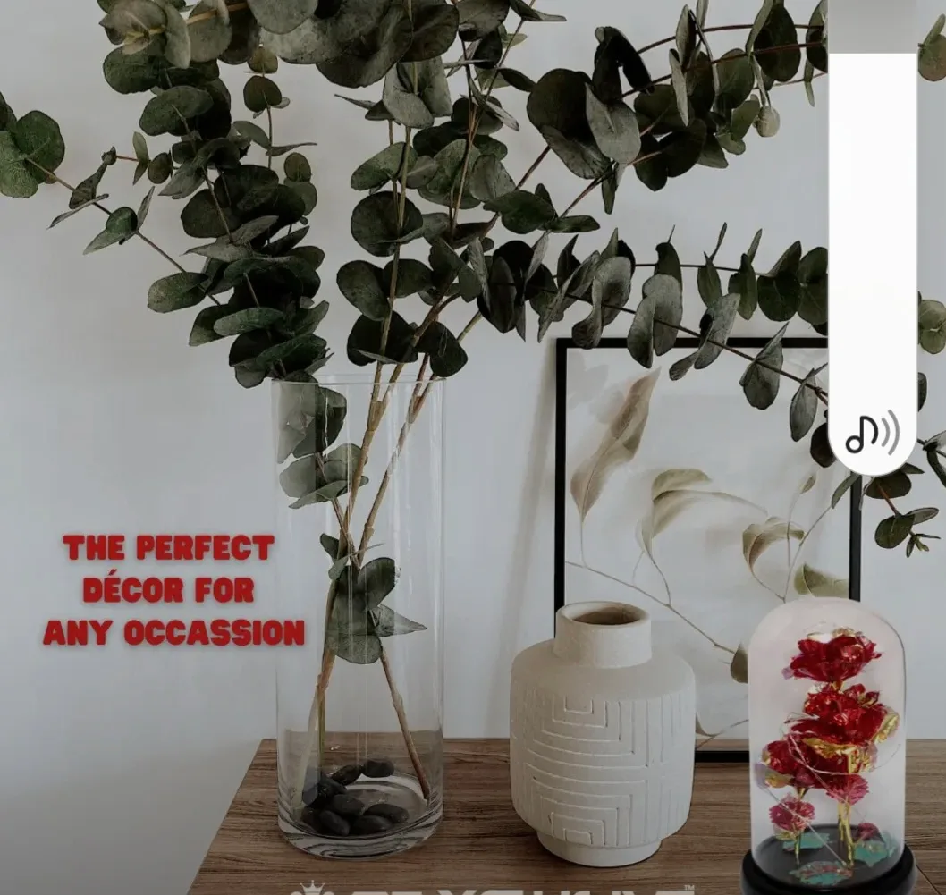 3 Foil Roses in Glass Dome, Blinking Light up Rotating image indicator(2)