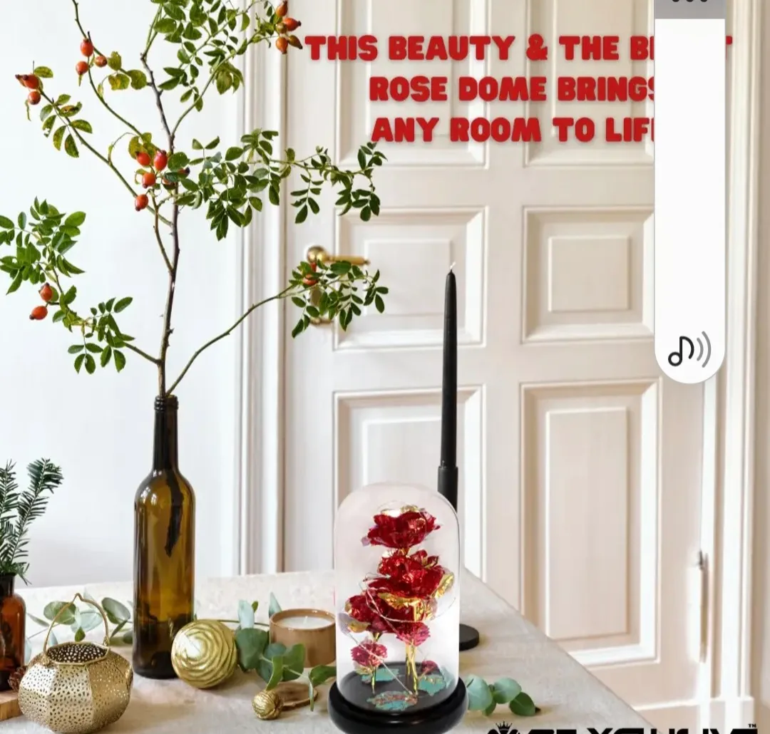 3 Foil Roses in Glass Dome, Blinking Light up Rotating image indicator(5)