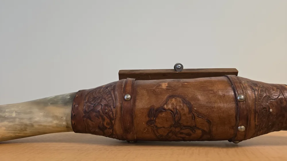 Longhorn Cow Horn Wall Decor