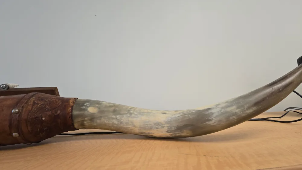 Longhorn Cow Horn Wall Decor image indicator(2)