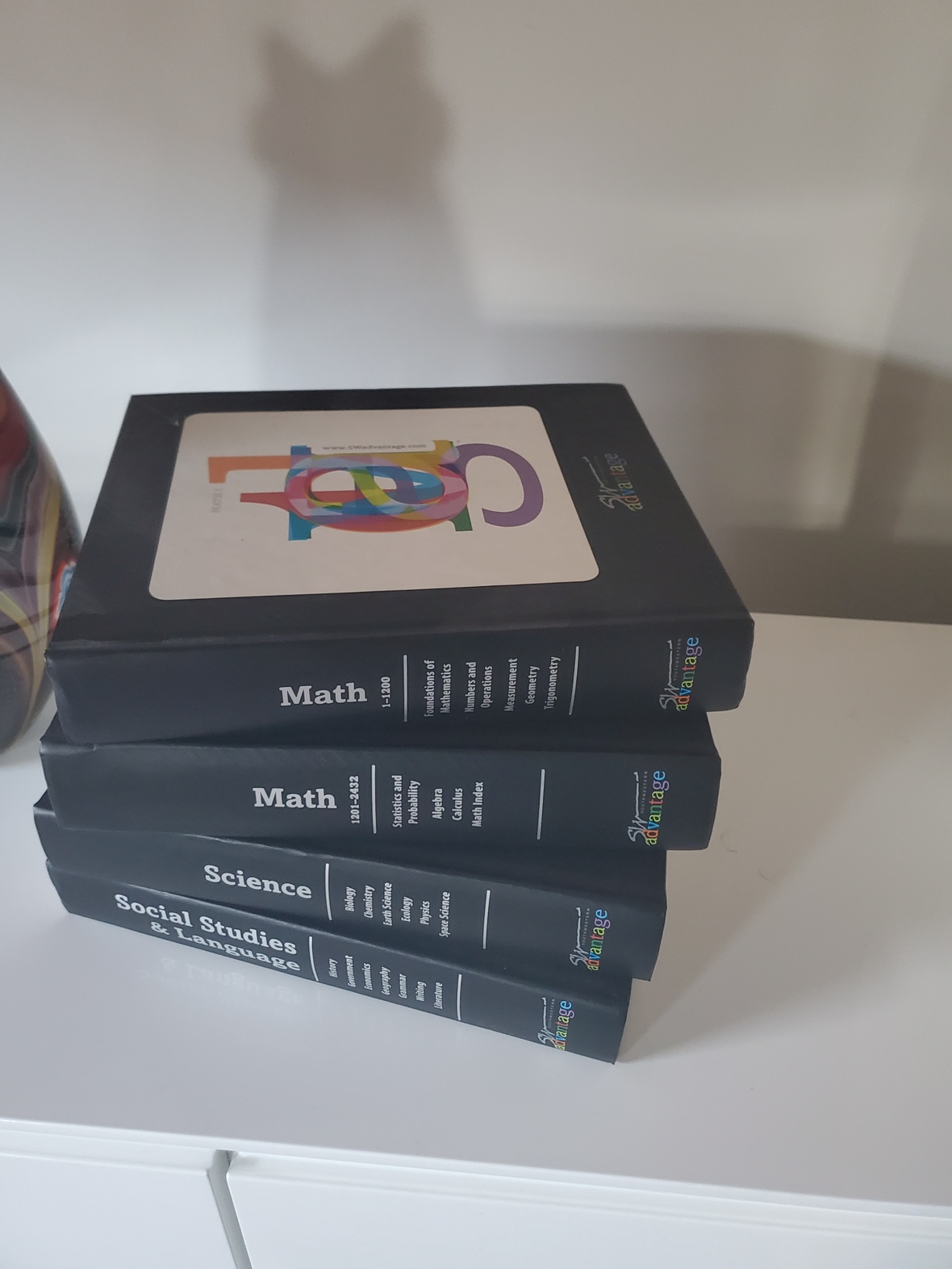 Advantage Workbook Set - photo 2