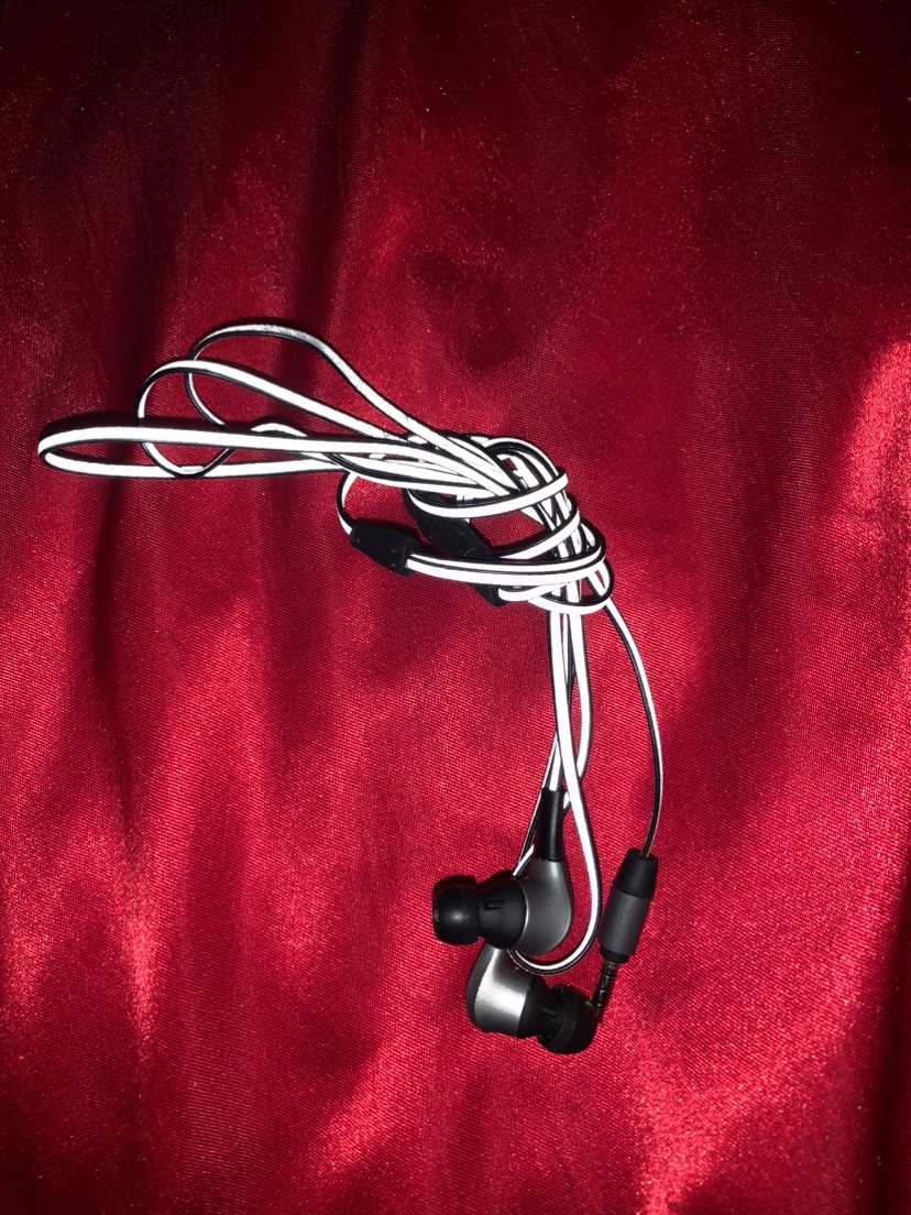 Headphones with Extra Earbuds - photo 4