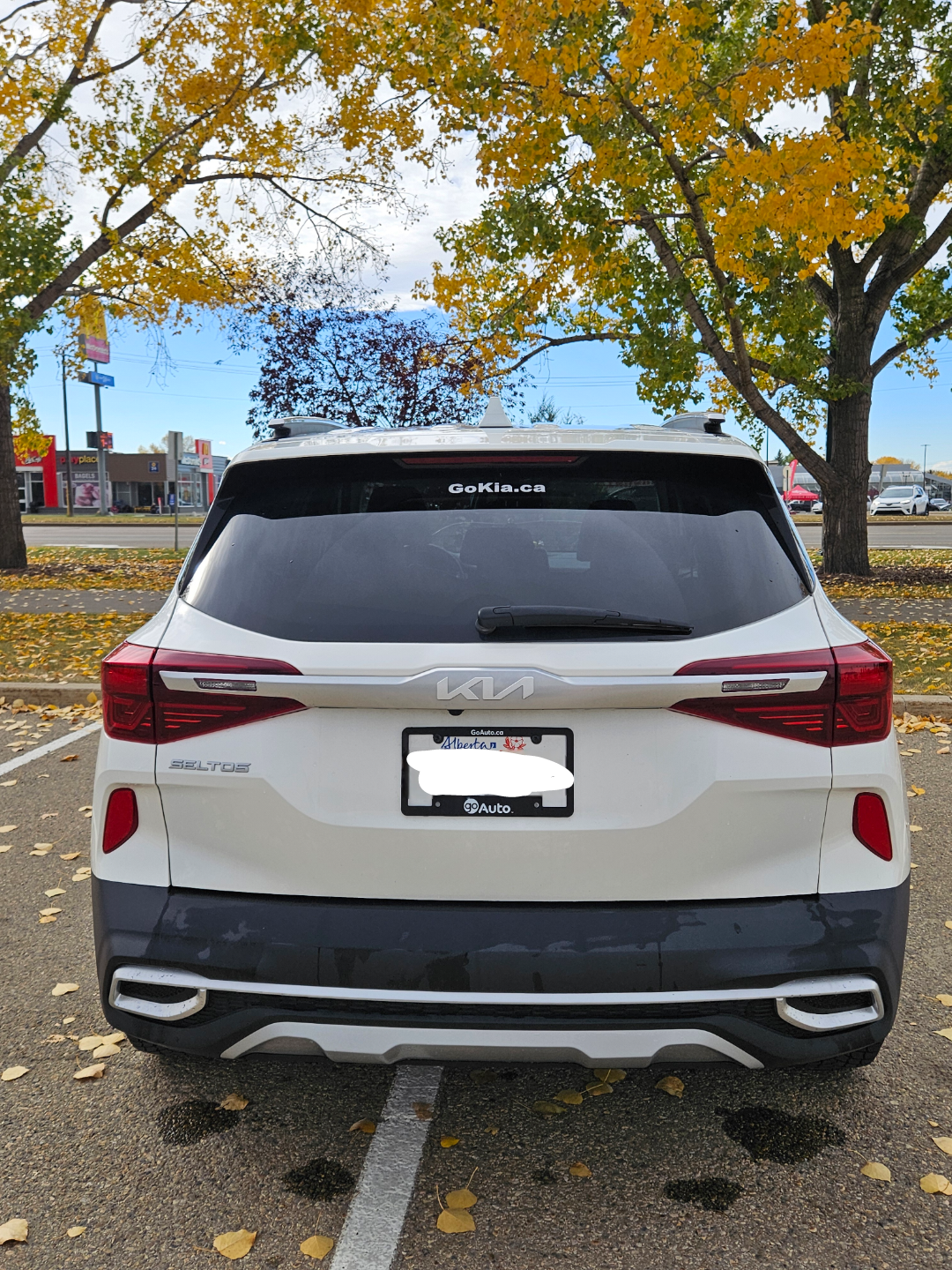 2023 Kia Seltos EX - photo 2