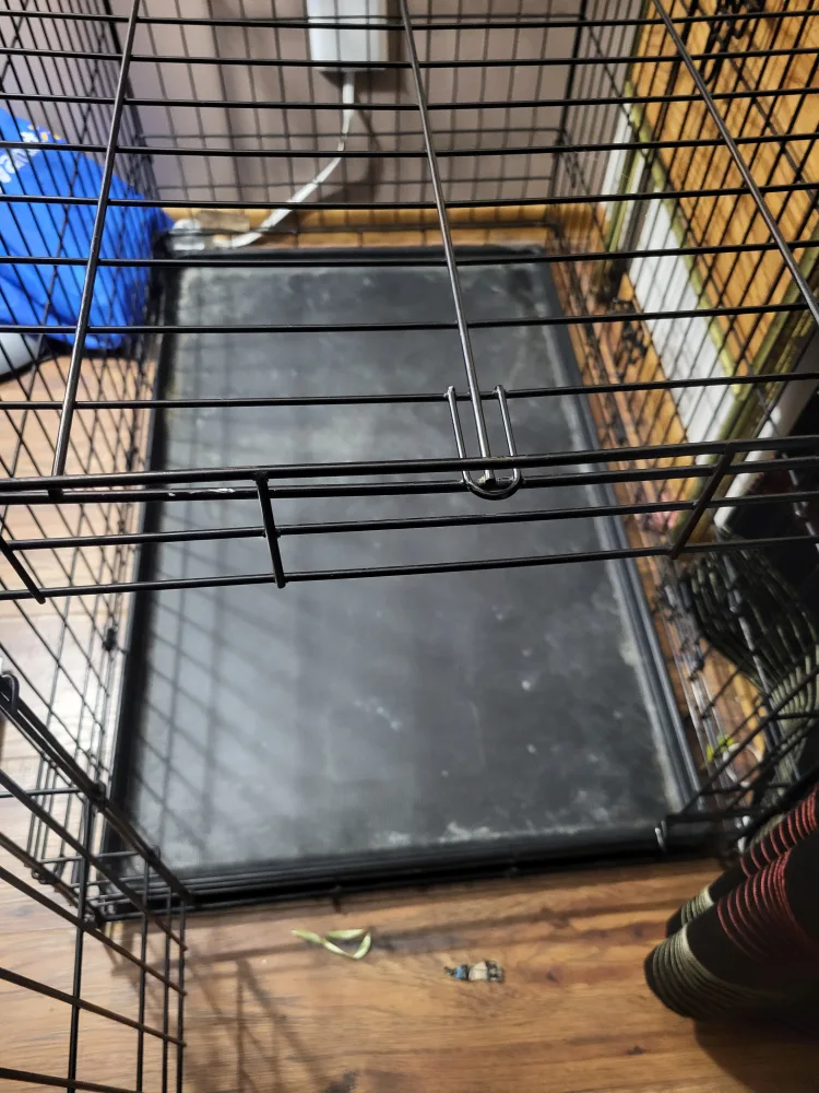 Dog Crate image indicator(2)