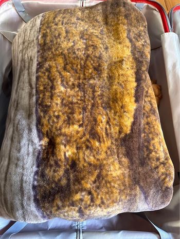 Cozy Blanket - Teddy Bear Print (Double Bed)