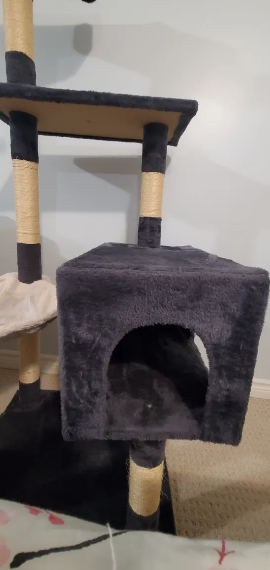 Cat Tree with Scratching Posts and Condo image indicator(2)