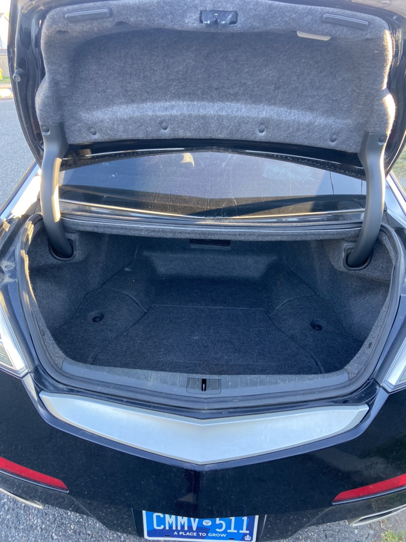 SAFETIED 2010 Acura TL - photo 4