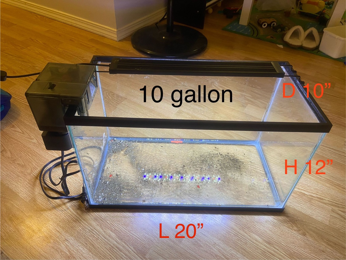 10 Gallon Fish Tank with Filter and Light