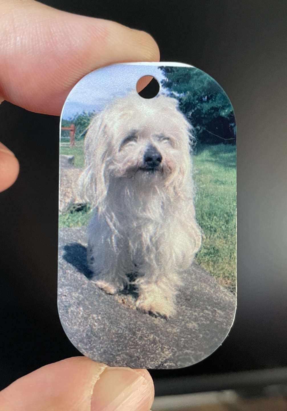 Personalized Dog Tag Keychain - photo 2
