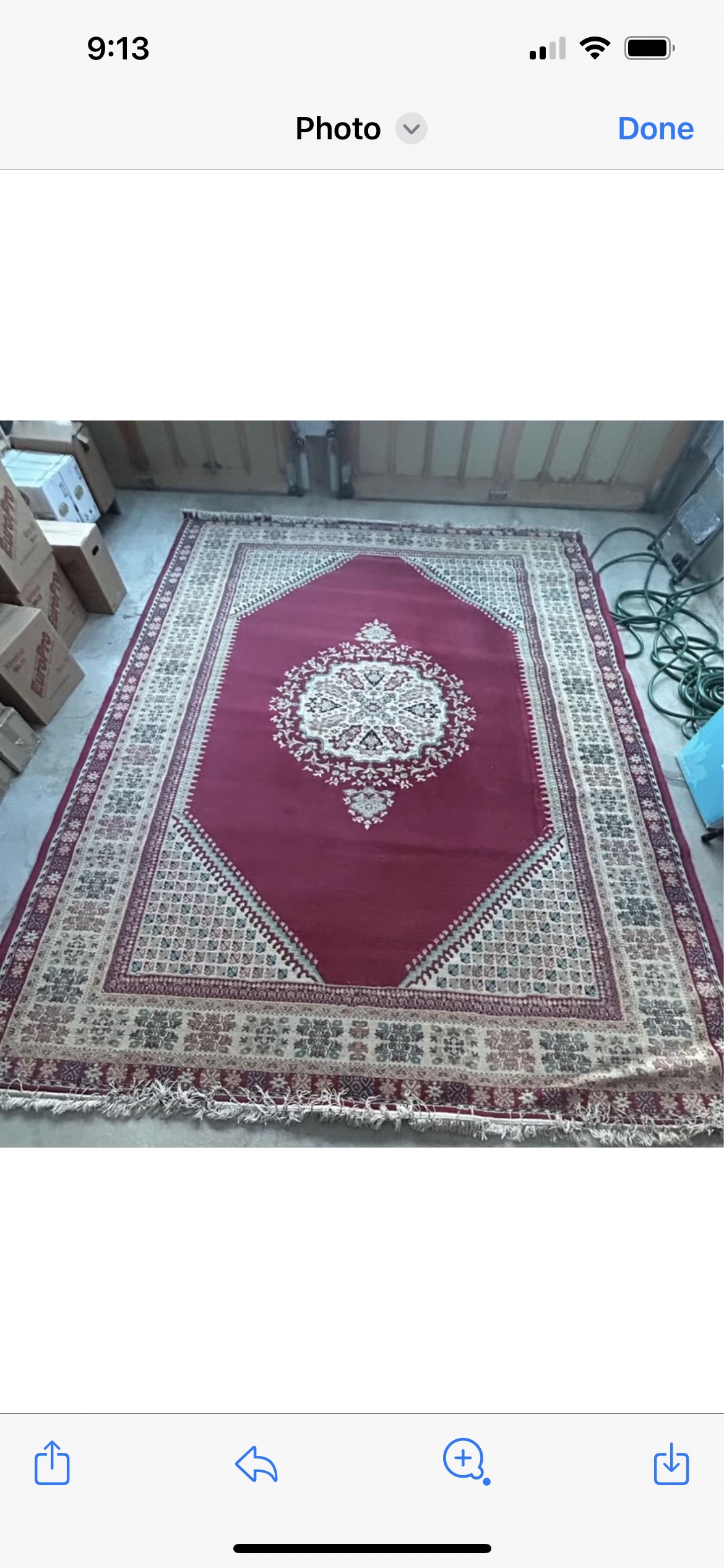 Large Carpet
