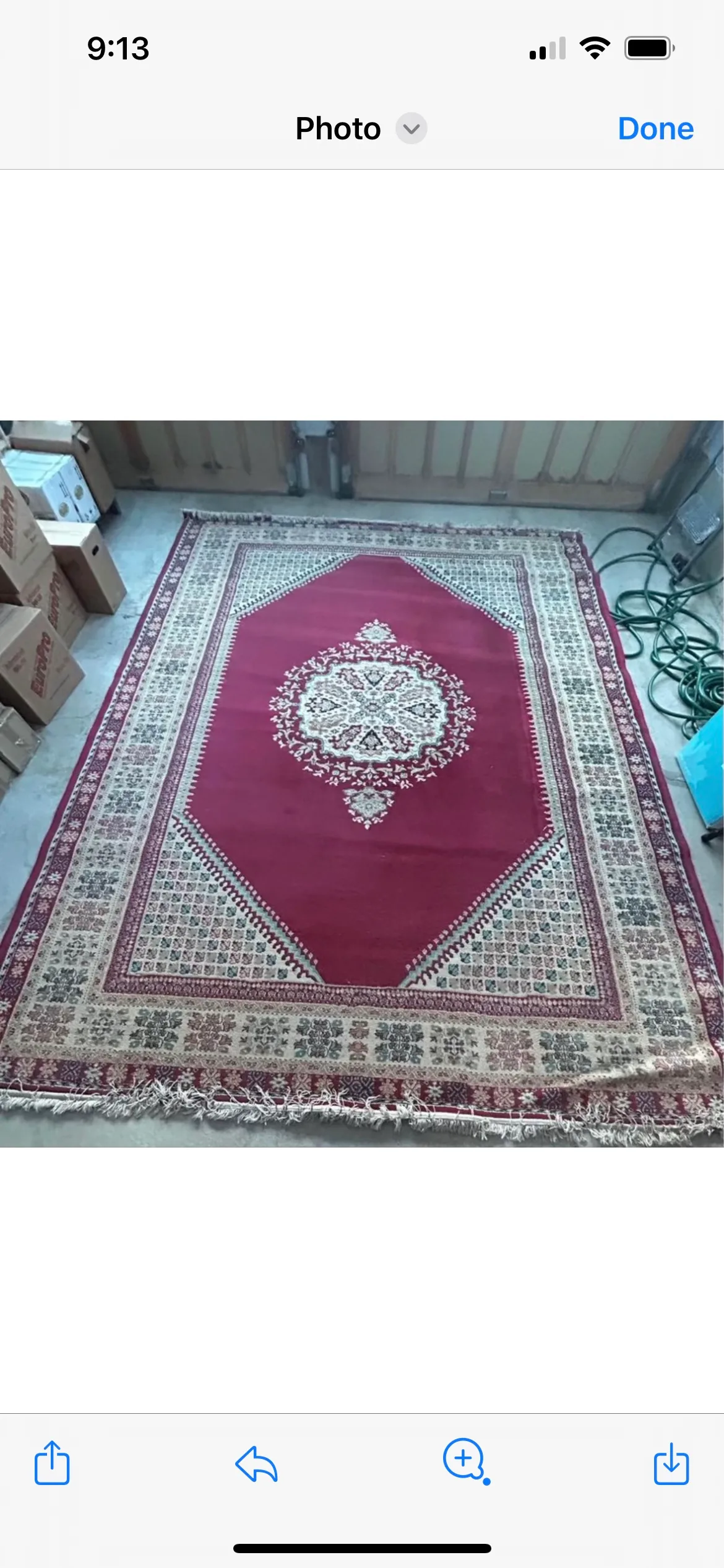 Large Carpet