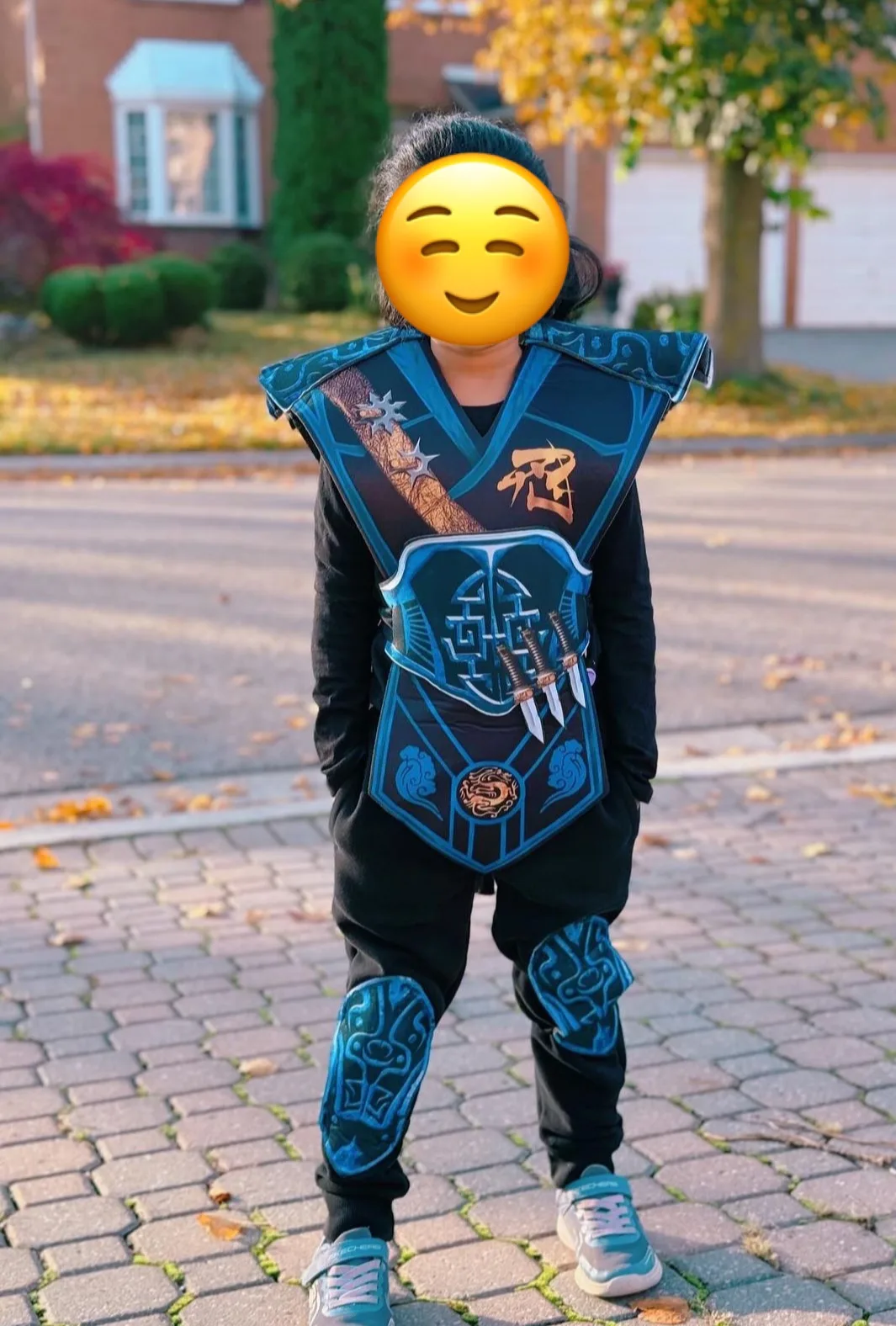 Ninja Costume thumbnail