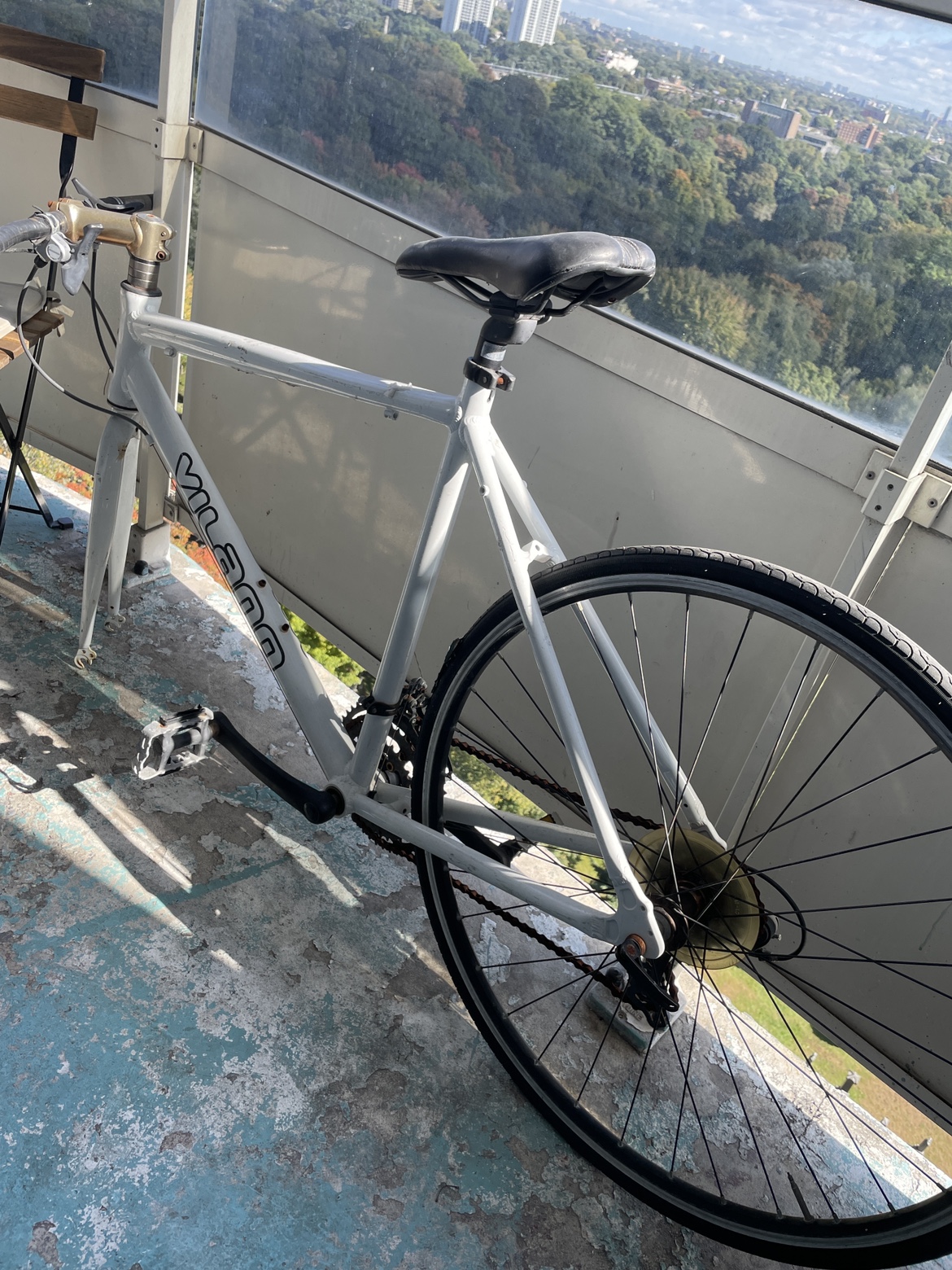 Vilano Road Bike (frame with 1 back wheel) - photo 2