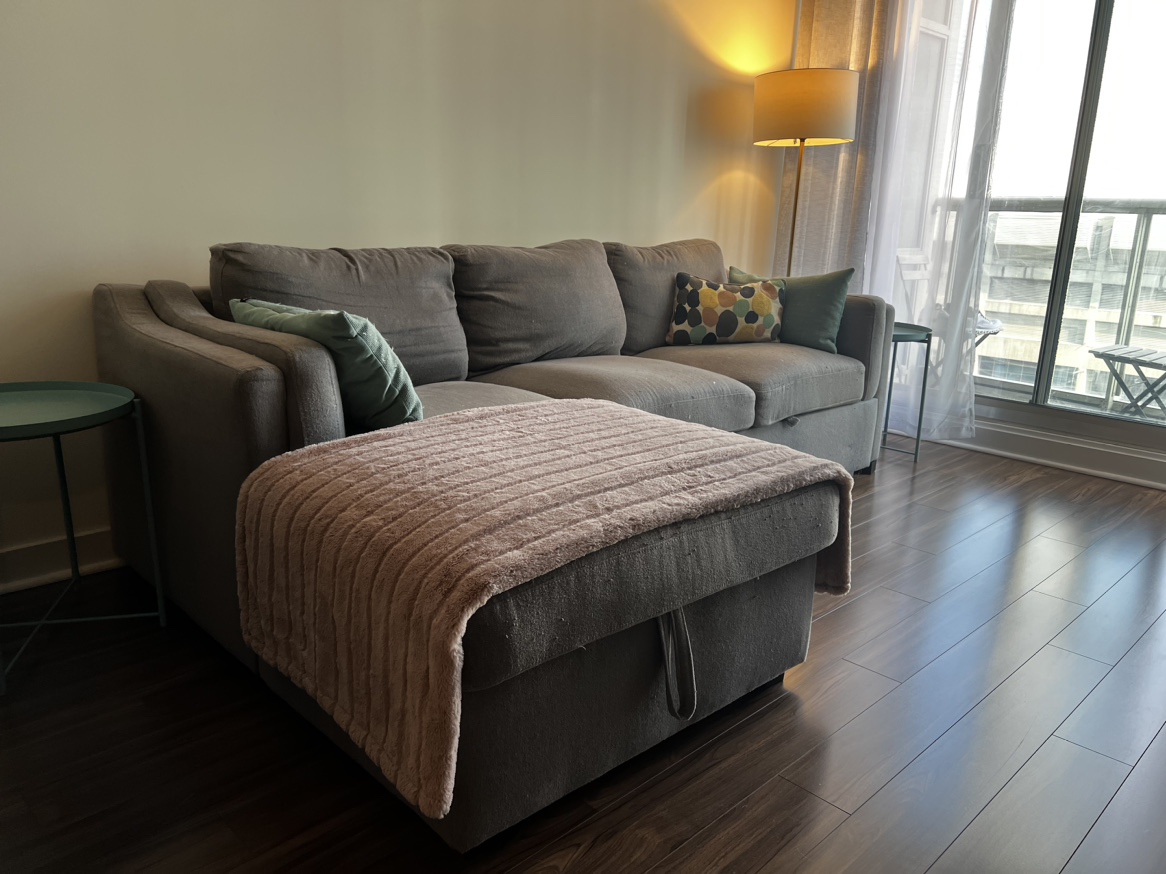 The Brick Carter Sectional Sofa bed