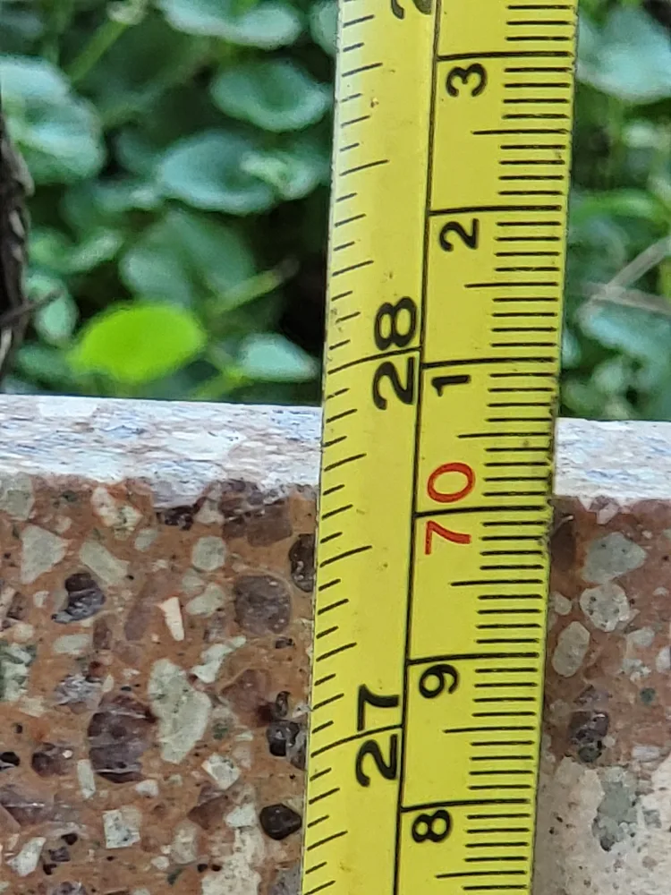 Large Granite Countertop Slab image indicator(7)