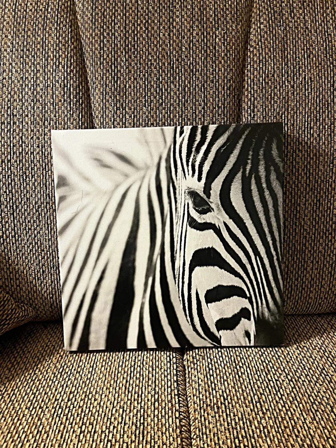 Zebra Canvas Wall Art image indicator(7)