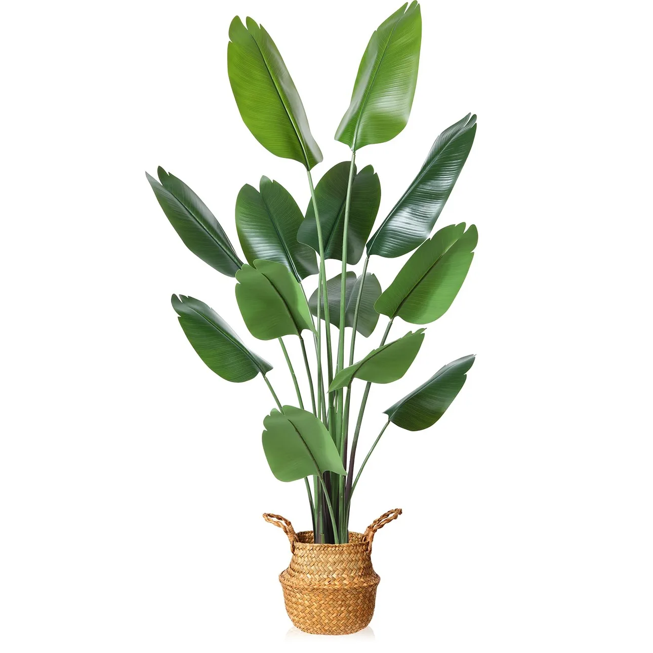 6FT Artificial Bird of Paradise Plant thumbnail