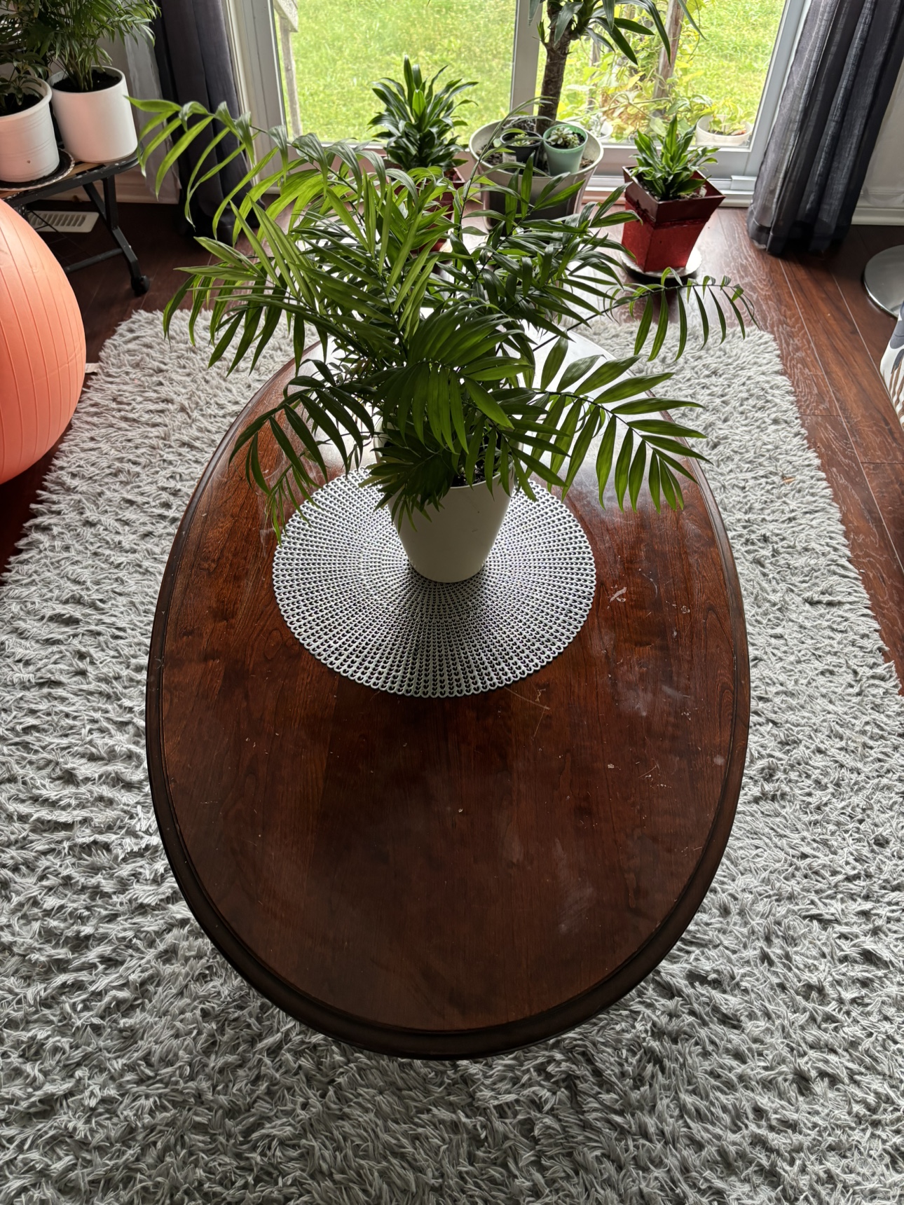 Oval Coffee Table