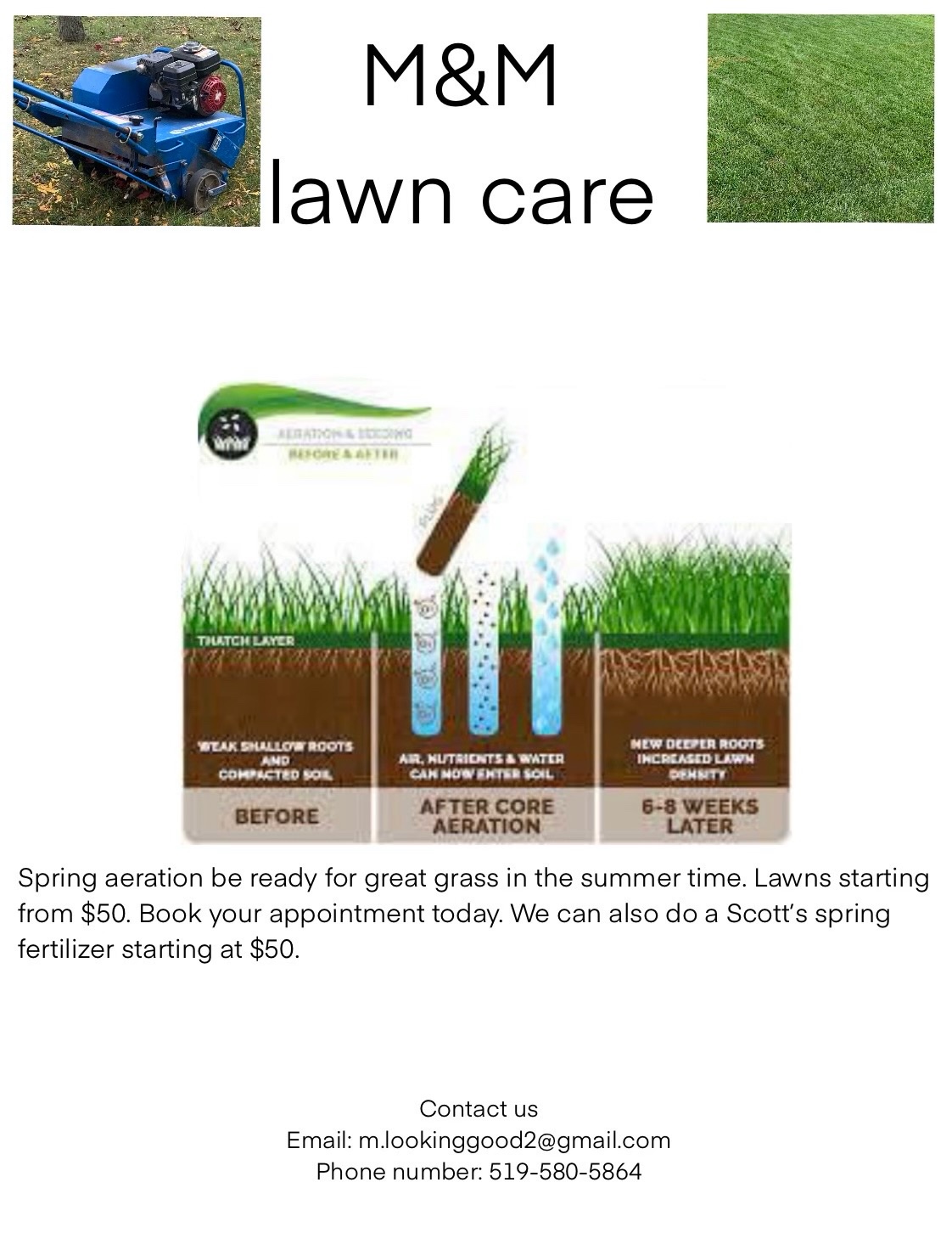 Lawn Aerator - photo 3