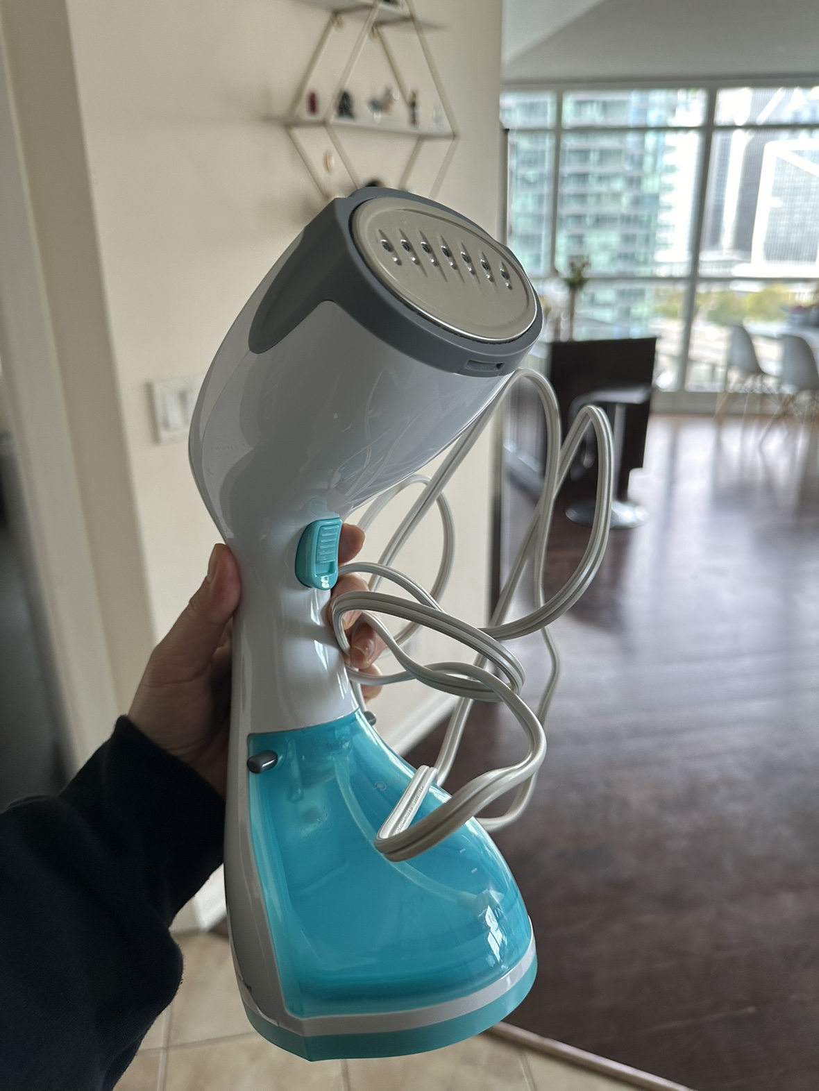 Handheld Garment Steamer