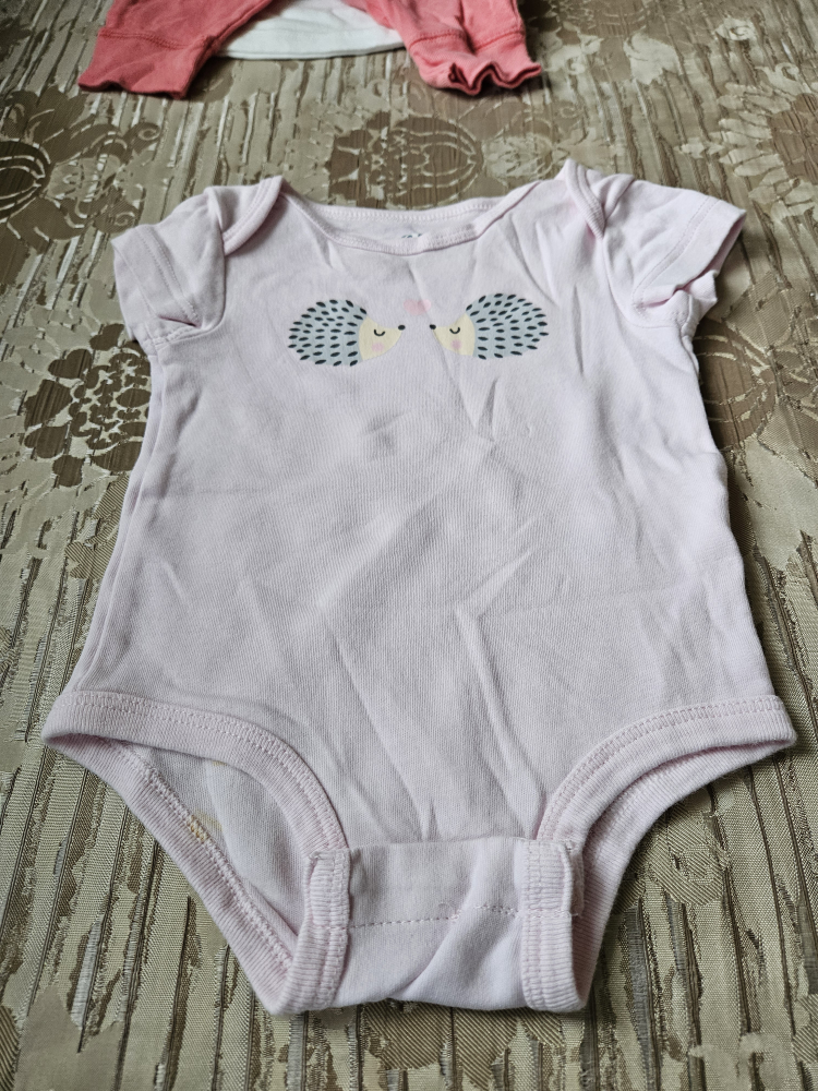 10 pieces of Baby Girl Clothes Bundle - photo 2