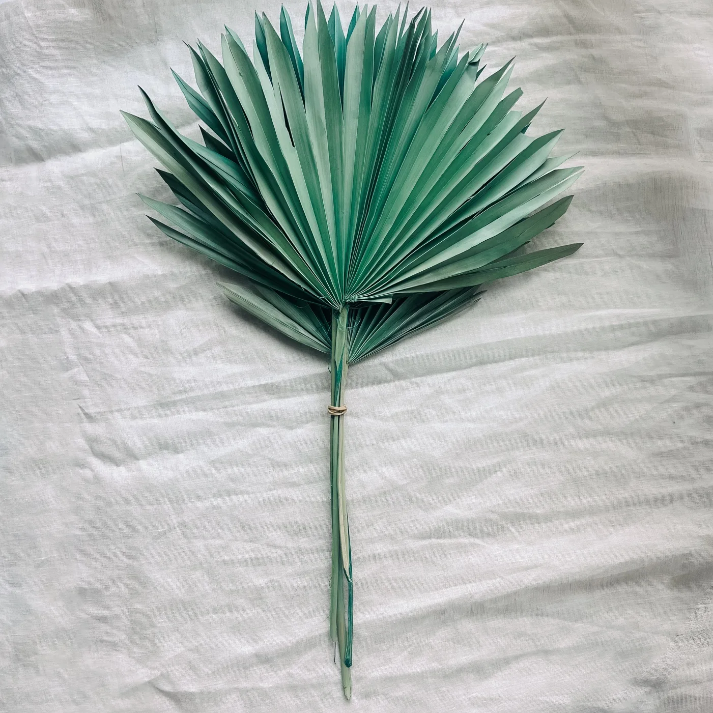 Dried Natural Palm Leaves image indicator(2)