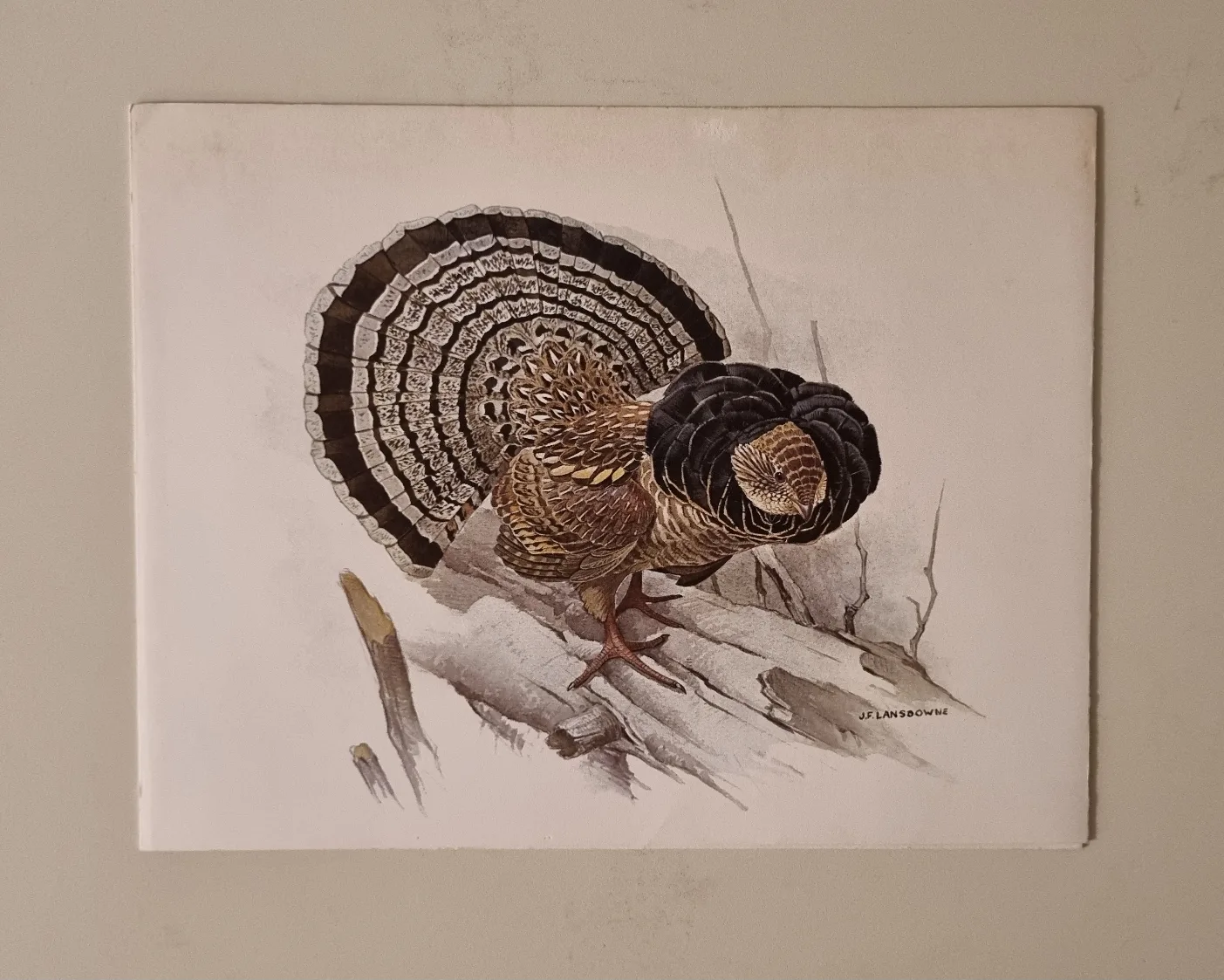 Set of 4 Christmas Cards Vintage Bird Prints image indicator(5)