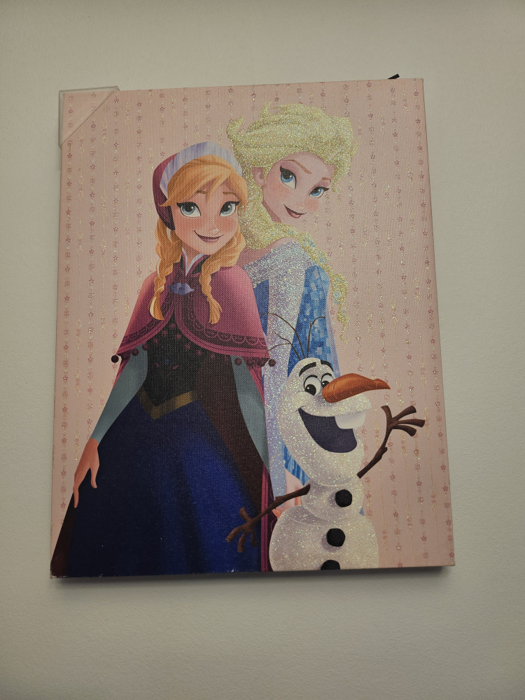 Frozen Canvas Wall Art
