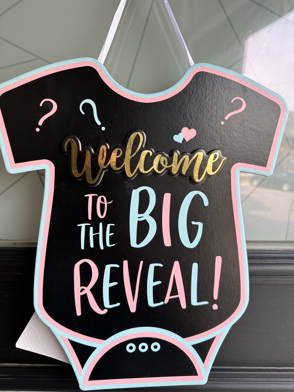 Gender Reveal Party Decorations
