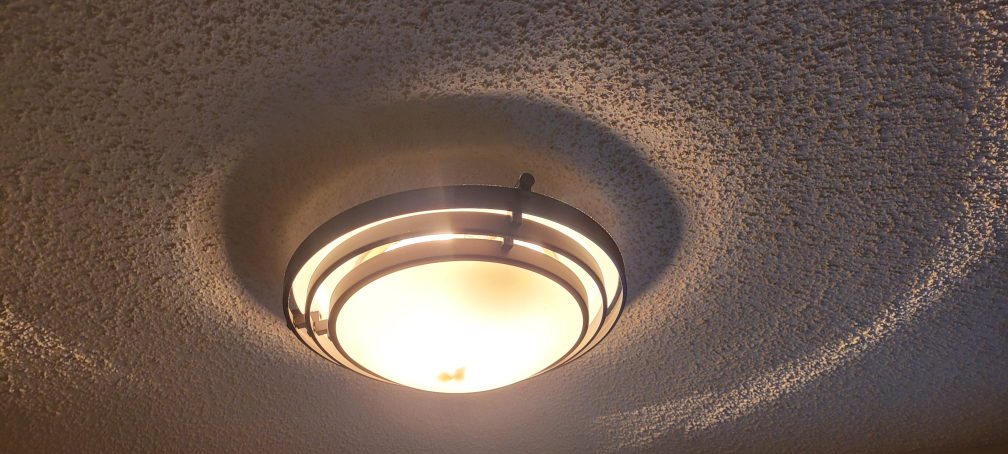 Free Ceiling Fan with Light Fixture