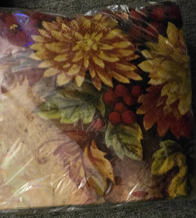 #Sale Fall Harvest Paper Plates - set of 60 pieces image indicator(2)