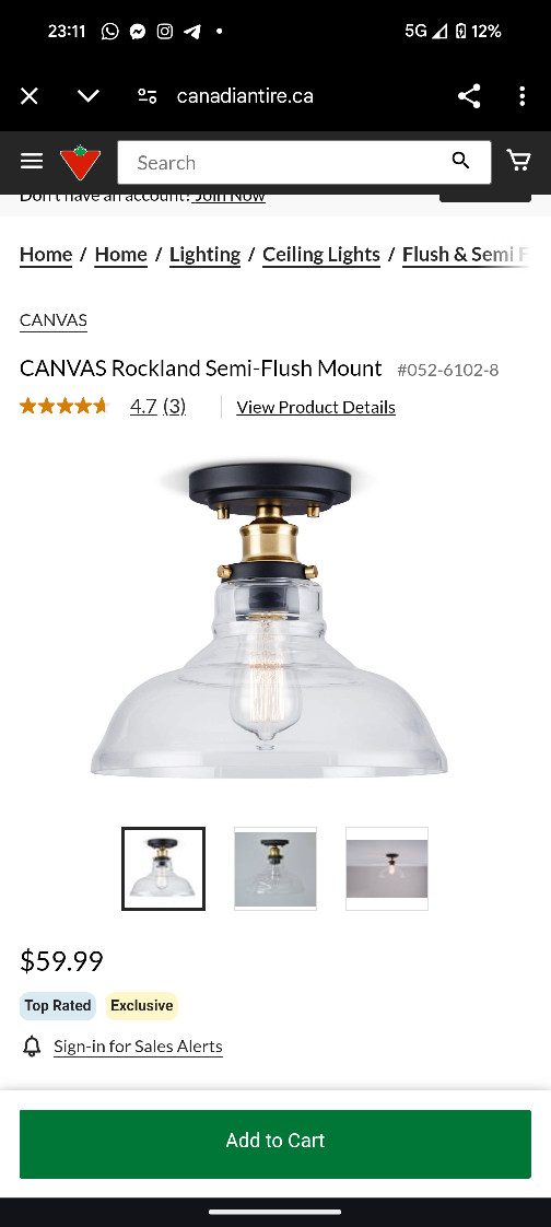*New* CANVAS Rockland Semi-Flush Mount Ceiling Light - photo 2