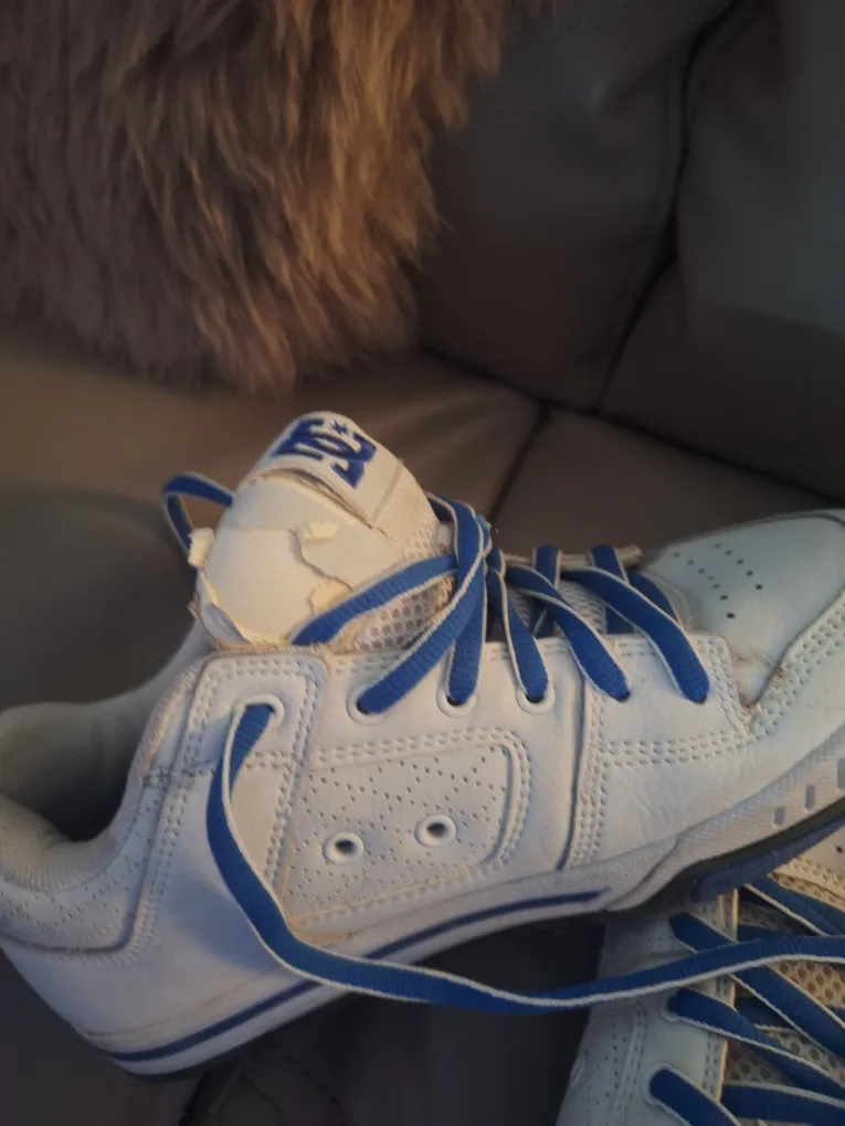 DC Shoes image indicator(3)